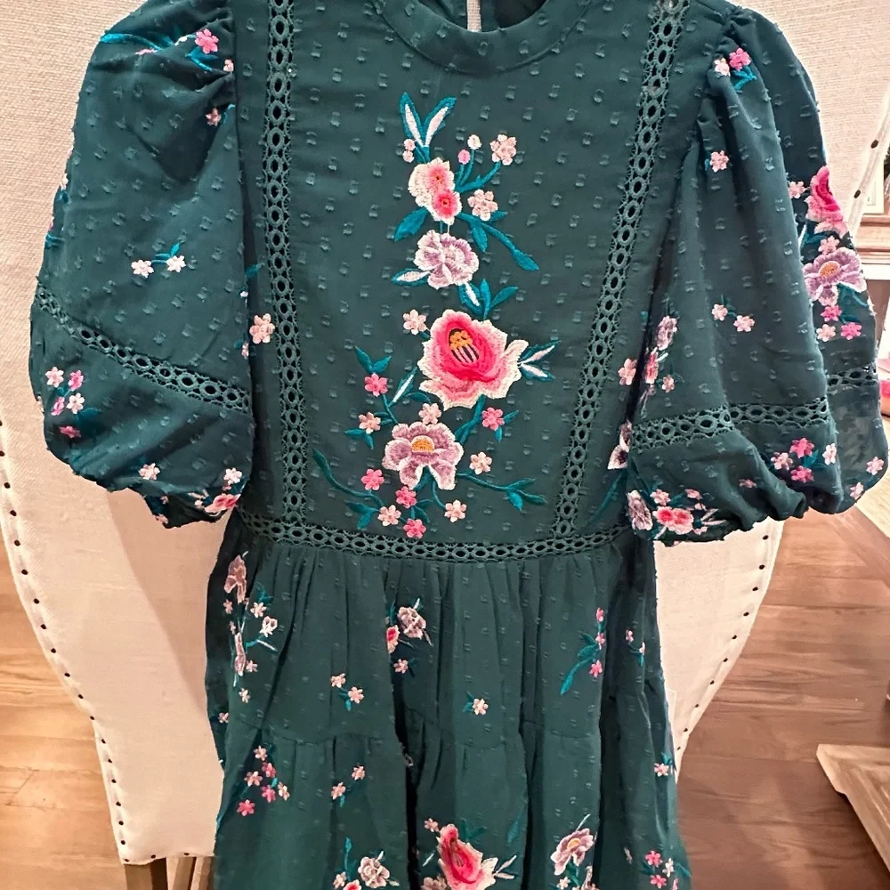 Asos Petite High neck embroidered mini Dress - Picture 2 of 14